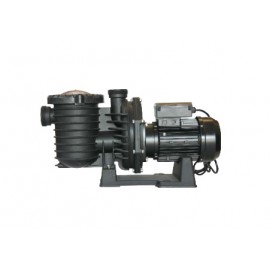 Pompa SCPA Serisi 3 HP - 2.2 KW Monofaze